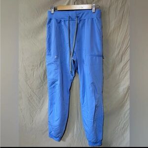 Fabletics Scrub Joggers